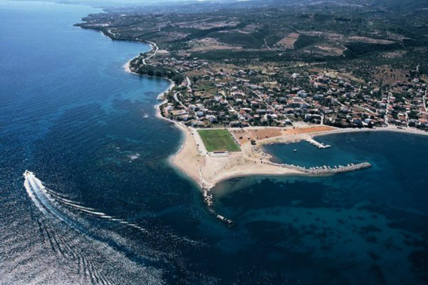Petalidi